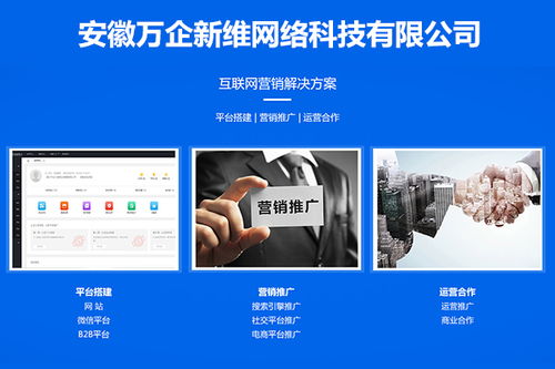 网络推广营销 山东知名网络推广营销价格 万企新维科技公司